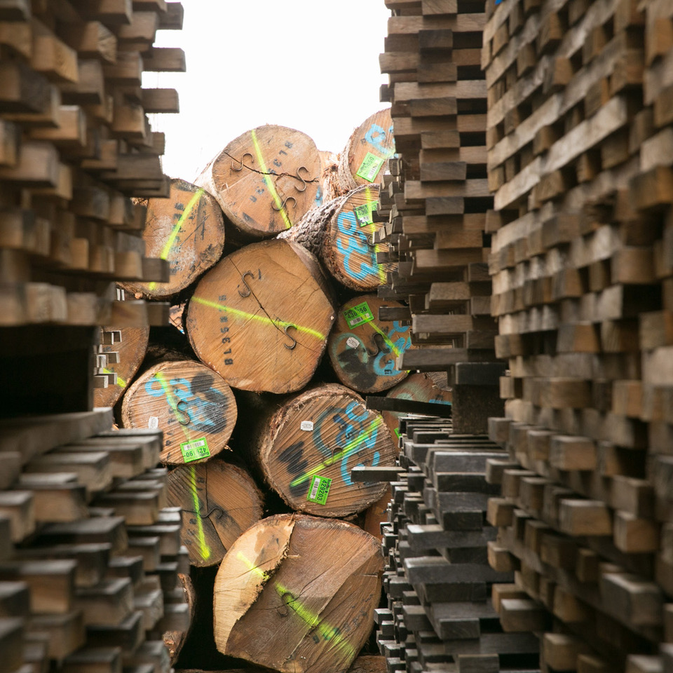 Logs stacked between pallets