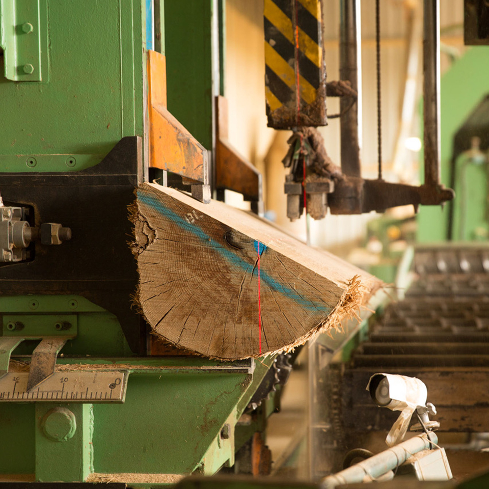 Log being cut by laser